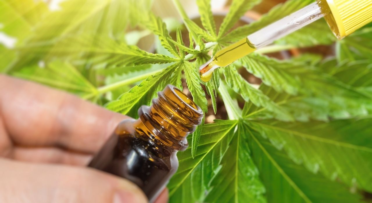 CBD Oil Ireland