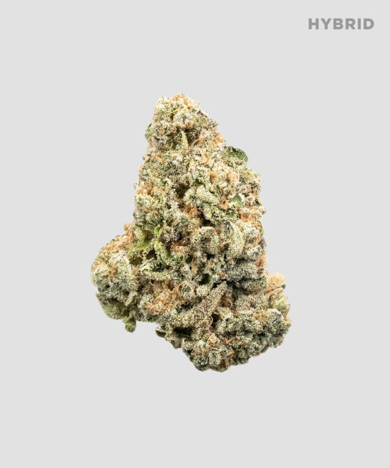 Lemon Gelato Special Sauce Herbal Tea