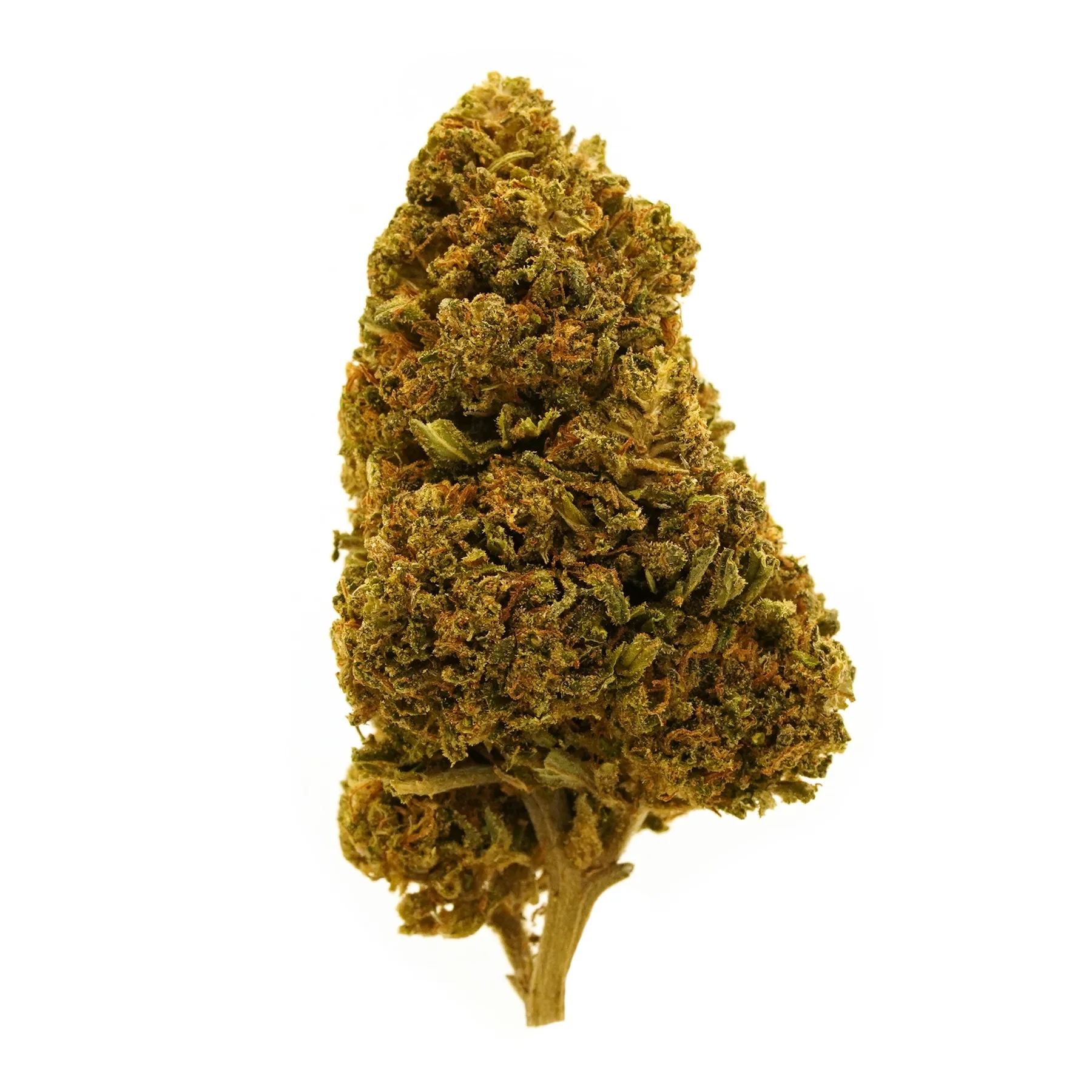 Royal O.G Special Sauce Herbal Tea